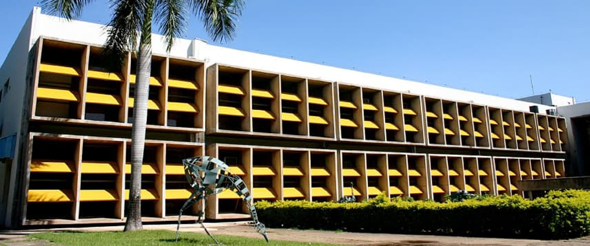 Revalida UFMT: tudo o que você precisa saber sobre a prova